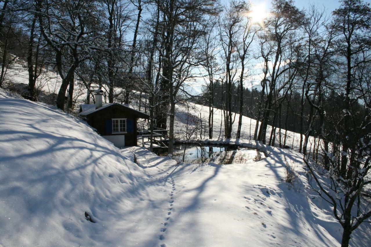 Kleines Paradies Montafon Bartholomäberg Exterior photo
